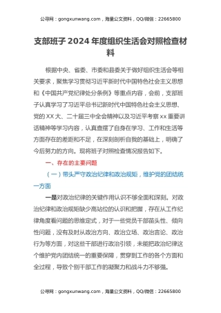 支部班子2024年度组织生活会对照检查材料