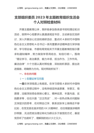 支部组织委员2023年主题教育专题组织生活会个人对照检查材料
