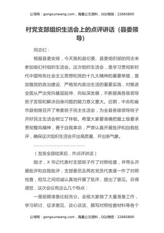 村党支部组织生活会上的点评讲话（县委领导）