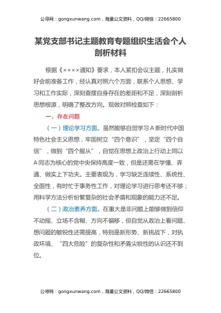 某党支部书记主题教育专题组织生活会 个人剖析材料