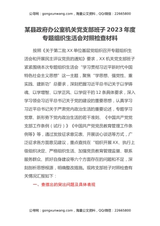 某县政府办公室机关党支部班子2023年度第二批专题组织生活会对照检查材料（六个方面）