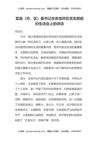 某县（市、区）委书记在参加所在党支部组织生活会上的讲话