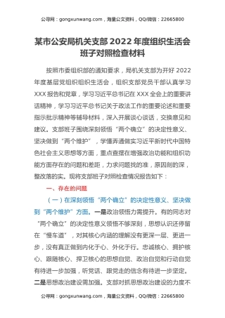 某市公安局机关支部2022年度组织生活会班子对照检查材料