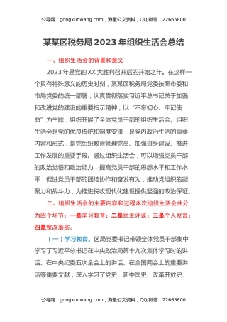 某某区税务局2023年组织生活会总结