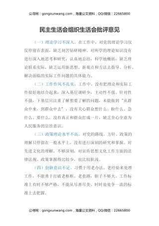 民主生活会 组织生活会批评意见