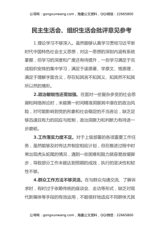 民主生活会、组织生活会批评意见参考