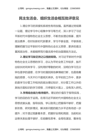 民主生活会、组织生活会相互批评意见 (2)