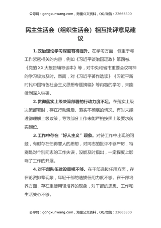 民主生活会（组织生活会）相互批评意见建议