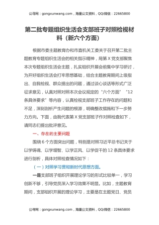 第二批专题组织生活会支部班子对照检视材料（新六个方面）