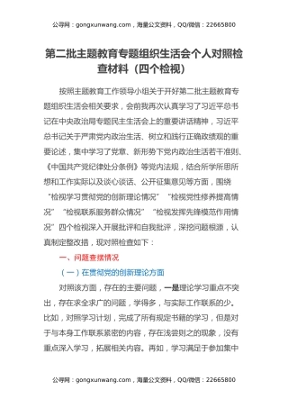 第二批主题教育专题组织生活会个人对照检查材料（四个检视）