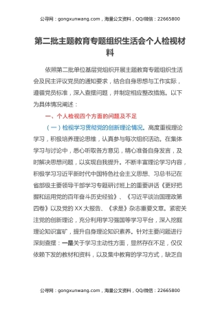 第二批主题教育专题组织生活会个人检视材料（四个方面）（2）