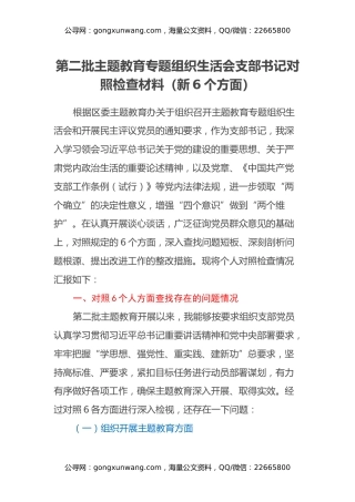 第二批主题教育专题组织生活会支部书记对照检查材料（新6个方面）