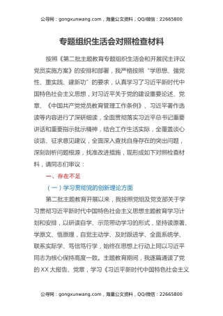 第二批主题教育专题组织生活会检视剖析材料（四个方面）