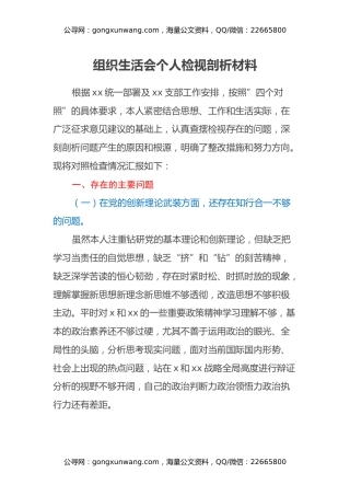 组织生活会个人检视剖析材料（2）