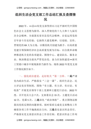 组织生活会党支部工作总结汇报及查摆情况