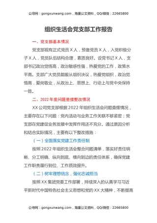 组织生活会党支部工作报告