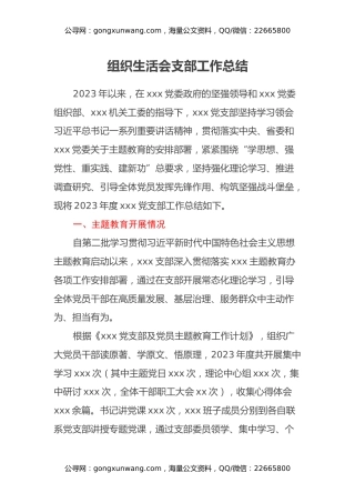 组织生活会支部工作总结（主题教育开展情况、上年度整改情况、下步工作计划）