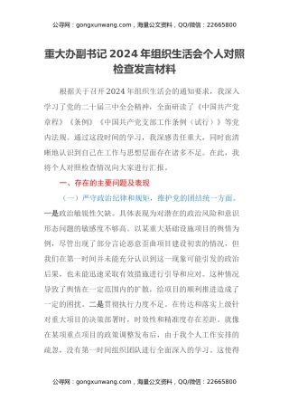 重大办副书记2024年组织生活会个人对照检查发言材料