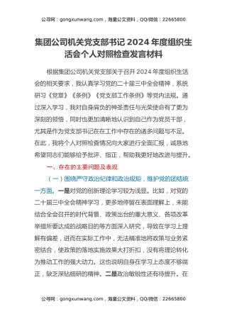 集团公司机关党支部书记2024年度组织生活会个人对照检查发言材料