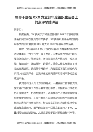 领导干部在XXX党支部年度组织生活会上的点评总结讲话