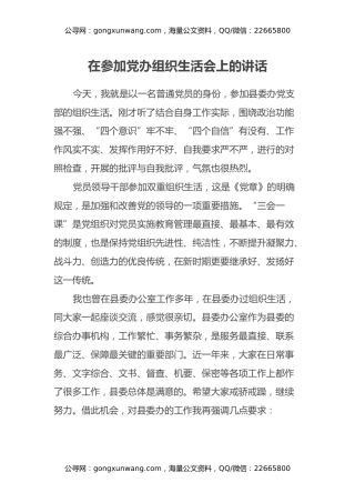 （两办）在参加党办组织生活会上的讲话