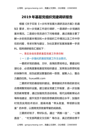 2019年基层党组织党建调研报告