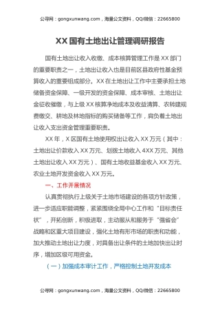 XX国有土地出让管理调研报告