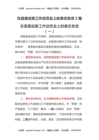 在县委巡察工作动员会上的表态发言2篇