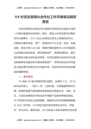 XX村党支部领办合作社工作开展情况调研报告