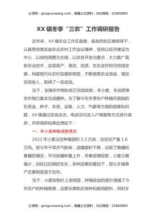 XX镇冬季“三农”工作调研报告