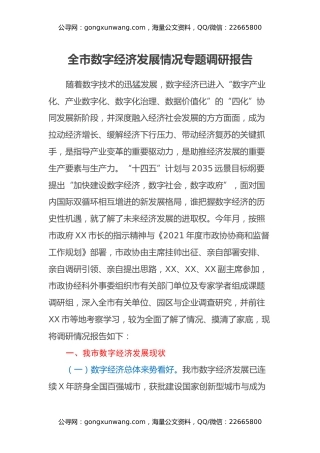 全市数字经济发展情况专题调研报告