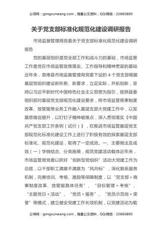 关于党支部标准化规范化建设调研报告