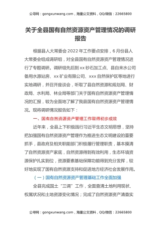 关于全县国有自然资源资产管理情况的调研报告