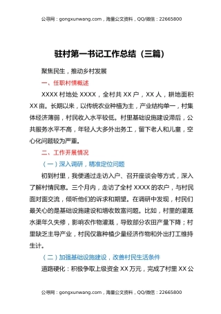 驻村第一书记工作总结（三篇）