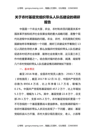 关于农村基层党组织带头人队伍建设的调研报告