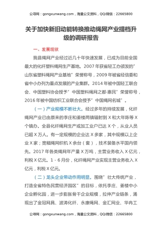 关于加快新旧动能转换推动绳网产业提档升级的调研报告