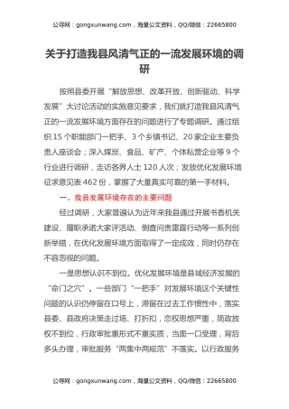 关于打造我县风清气正的一流发展环境的调研