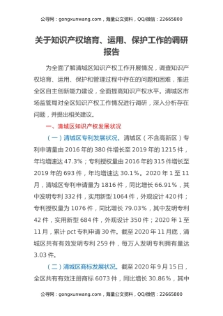关于知识产权培育、运用、保护工作的调研报告