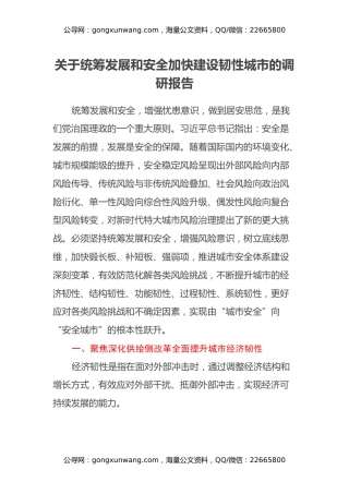 关于统筹发展和安全加快建设韧性城市的调研报告