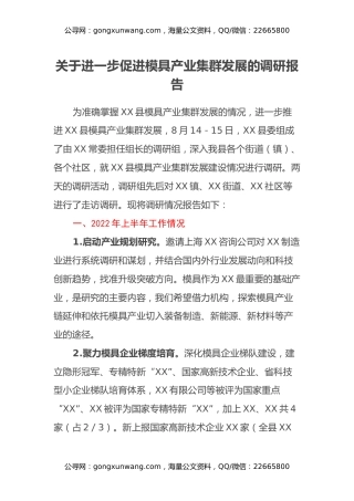 关于进一步促进模具产业集群发展的调研报告