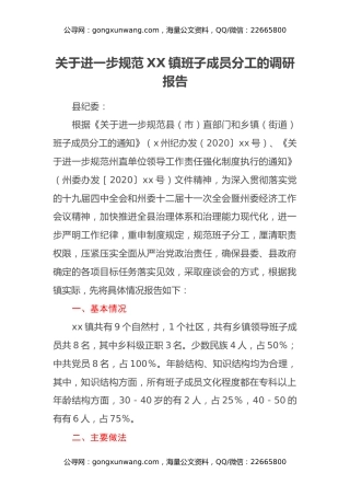关于进一步规范XX镇班子成员分工的调研报告