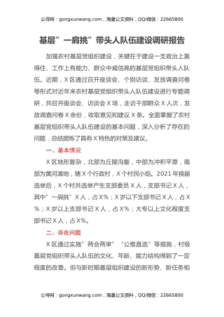 基层”一肩挑”带头人队伍建设调研报告