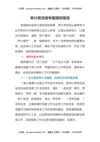 审计局党组专题调研报告