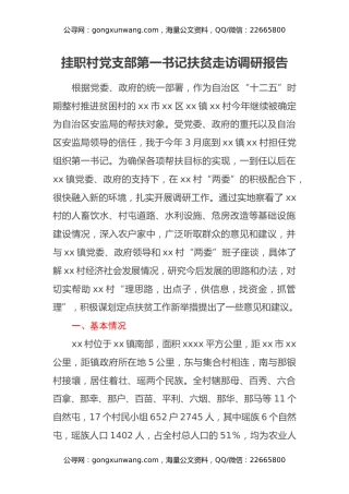 挂职村党支部第一书记扶贫走访调研报告