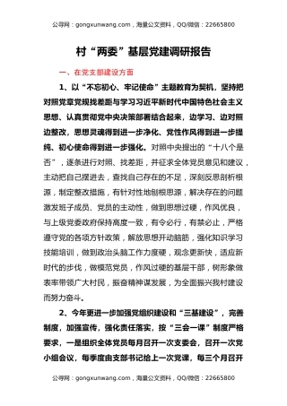 村“两委”基层党建调研报告