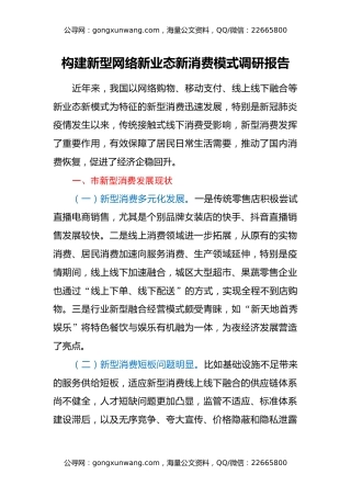 构建新型网络新业态新消费模式调研报告