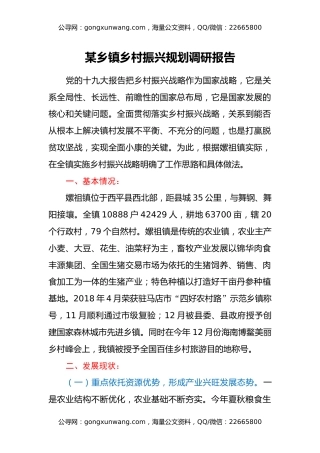 某乡镇乡村振兴规划调研报告