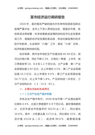 某市经济运行调研报告