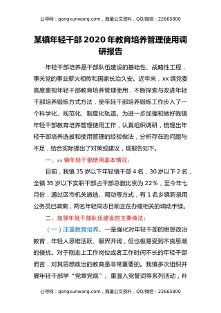 某镇年轻干部2020年教育培养管理使用调研报告