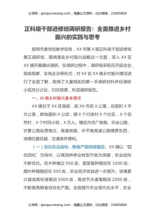 正科级干部进修班调研报告：全面推进乡村振兴的实践与思考